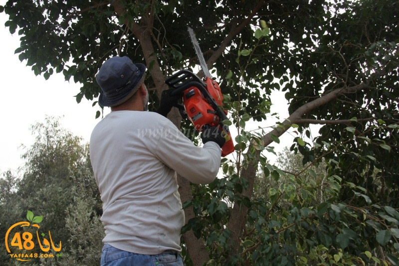 tasoooi3i1412 (8).JPG